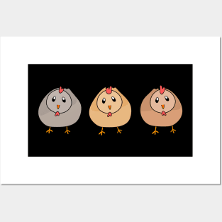 3 cute chickens Posters and Art